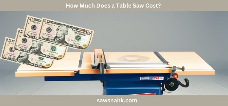Interested to know How Much Does a Table Saw Cost? let explore this.
